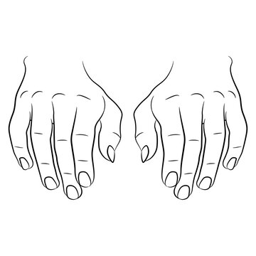recommend clip art: Front view of two human hands in typing position. Black and white linear silhouette.