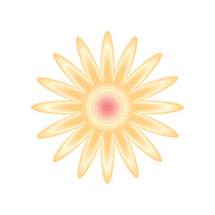 yellow flower nature