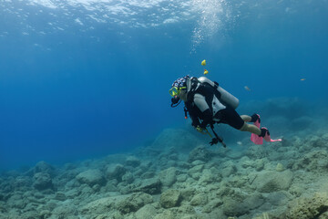 scuba diver girl in the sea