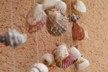shells tied on strings to create sounds and decorations