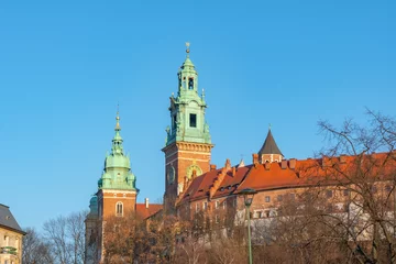 Gordijnen Wawel hill with cathedral and castle in Krakow © k_samurkas