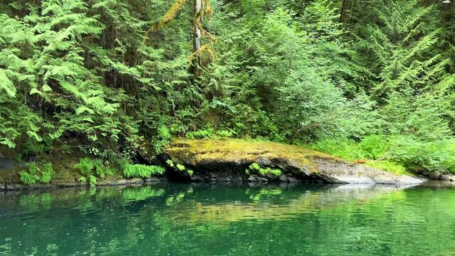 Beautiful Englishman River Waterfalls upper section , Parksville, British Columbia, Canada . High quality photo