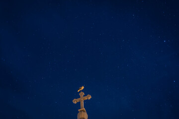 Obraz na płótnie Canvas stork on top of the church