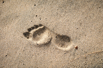 Der Fußabdruck einer Person im feuchten Sand am Strand.
