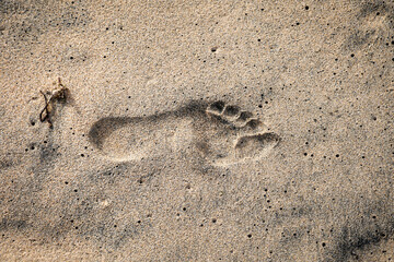 Fototapeta na wymiar Der Fußabdruck einer Person im feuchten Sand am Strand. 