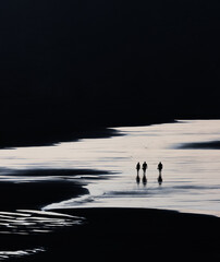 people walking on the beach