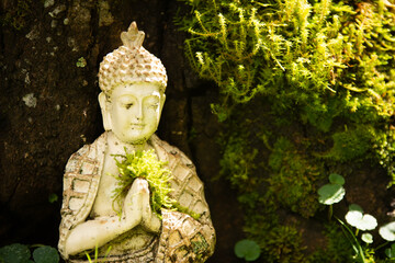 statue of buddha in a green field with moss and grass