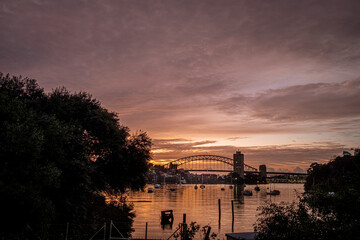 Sydney Harbour dawn