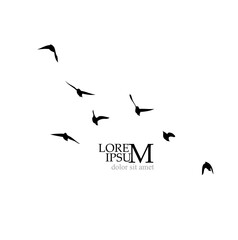 A flock of flying birds. Free birds. Vector illustration