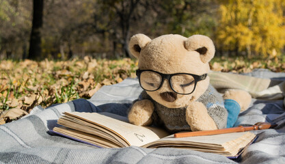 Stuffed Teddy bear with eyeglasses is lying on plaid in autumn park as if reading a book. Copy space