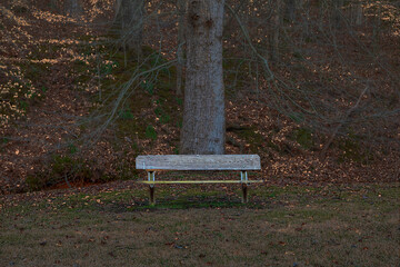 Vacant Weathered Bench  Trail of Tears State Forest 3240 State Forest Road Jonesboro IL Union County 