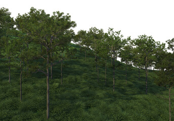 Mountains on a transparent background
