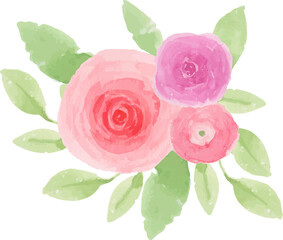 Pink Rose Arrangement Watercolor