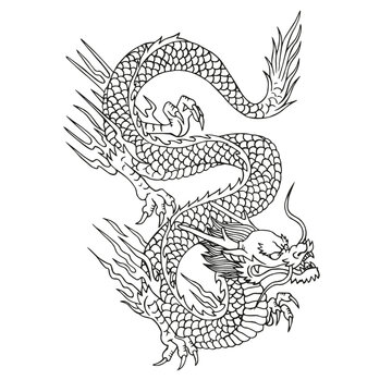 FREE  Chinese Dragon Pictures to Draw teacher made