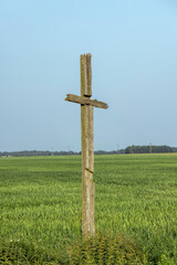 A field with a grain harvest and a wooden religious cross