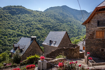 houses with flowers and views of the valley of aran