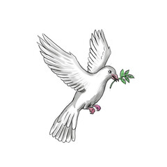 Fototapeta premium Dove Olive Leaf Tattoo