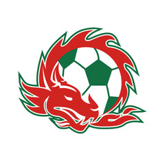 Welsh Dragon Soccer Ball