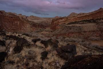 Orchards In The Valley Below The Orange Cliffs Of Capitol Reef