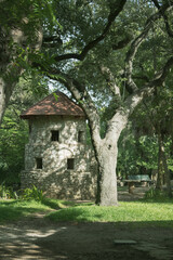 Old cottage castle tower with trees, cottage core aesthetic, big tree