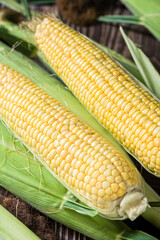 Fresh ripe yellow cobs corn on wooden table