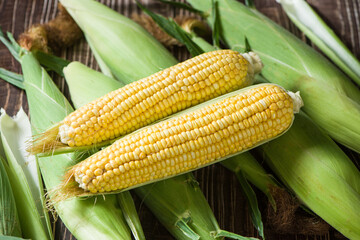Fresh ripe yellow cobs corn on wooden table