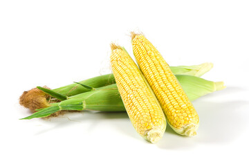 Fresh ripe yellow cobs corn isolated on white background
