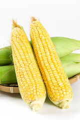 Fresh ripe yellow cobs corn isolated on white background