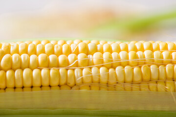 Fresh yellow corn cobs, close up