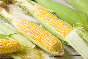 Fresh ripe yellow cobs corn on wooden table