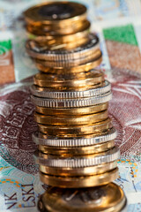 money used in Poland for trade