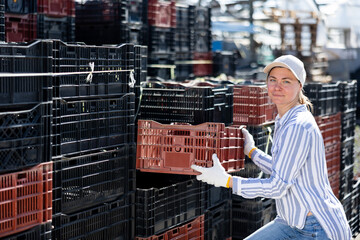 Woman stacking plactic crates in a greenhouse