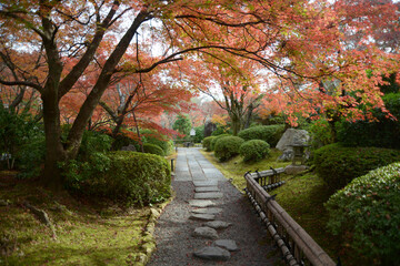 将軍塚青龍殿　紅葉の庭園　京都市山科区