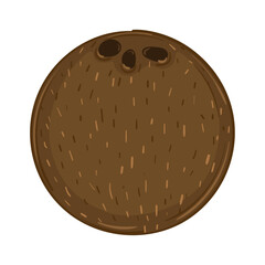 Isolated coconut icon Fruits Healthy food Vector