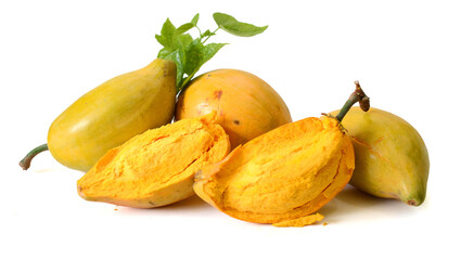 Egg fruit or canistel at white background