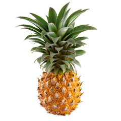 Ripe pineapple fruit isolated on alpha background