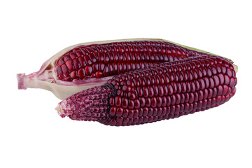 fresh purple corn isolated on alpha background
