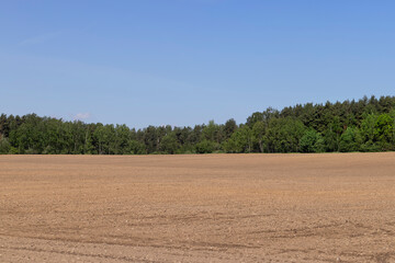 Fototapeta na wymiar Fertile plowed soil in an agricultural field