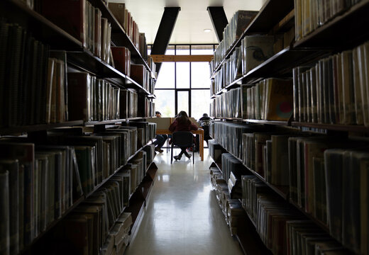 Estudiante leyendo en medio de la biblioteca 