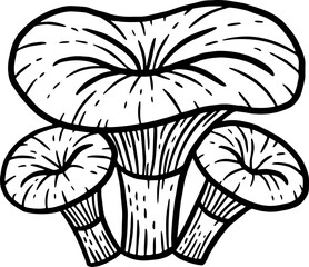 Mushroom healthy food engraved Hand Drawn Outline illustration