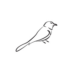 bird line art concept.