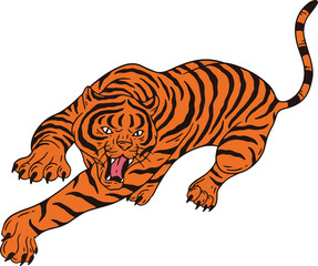 Obraz premium Tiger Pose Wild Animal Jungle Safari Vintage Clipart Cartoon