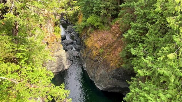 You can see a bright blue river that flows from a beautiful waterfall Englishman river falls park Parksville Qualicum Vancouver Island Canada. High quality photo