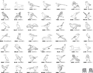 Obraz premium 鳥イラスト 線画（県鳥一覧）