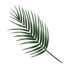 Palm Leaf Watercolor