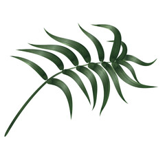 Palm Leaf Watercolor