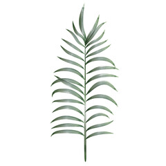 Palm Leaf Watercolor