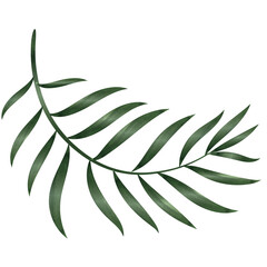 Palm Leaf Watercolor