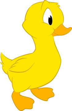Cartoon Baby Duck
