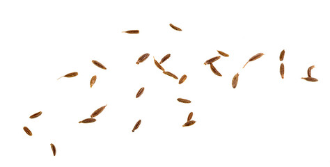 Cumin Seeds